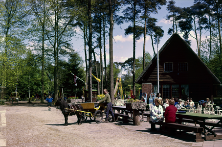 849971 Gezicht in het Dierenpark Amersfoort (Barchman Wuytierslaan 224) te Amersfoort.